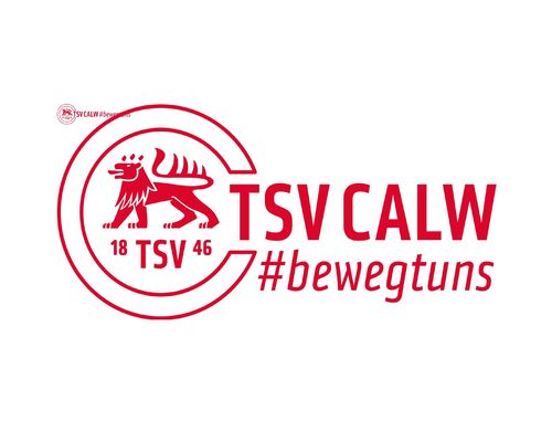 Der TSV Calw sucht Unterstützung für ihr Trainer-Team