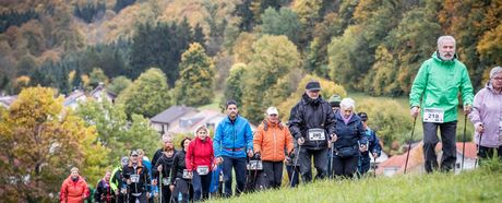 Ausbildung zum Nordic Walking Instructor